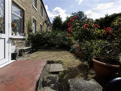 Picture 21